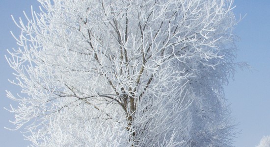 Perfect skin - even in icy temperatures